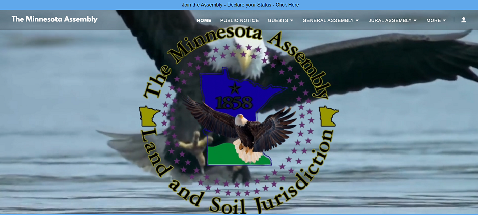 eagle fishing 1